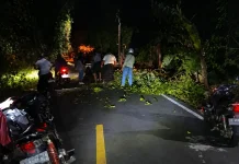 Pengendara Motor Terjatuh akibat Dahan Pohon Patah di Sabang