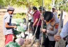 Wali Kota Sabang Dorong Pengembangan Padi Gogo di Lahan Kosong
