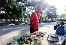 Permintaan Maulid Naik, Stok Udang di Sabang Terbatas