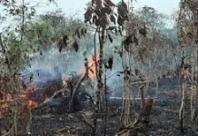 BMKG Catat 77 Titik Panas di Aceh, 9 Zona Merah