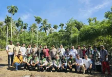 Padi Gogo di Sabang Ditargetkan Berkembang hingga 40 Hektare