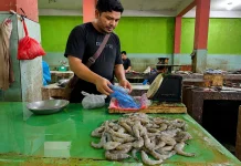 Pasokan Menipis, Harga Udang di Sabang Tembus Rp110 Ribu Per Kilogram