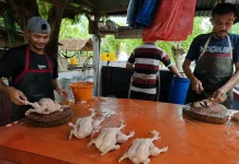 Stok Menipis, Harga Ayam Potong di Sabang Capai Rp70 Ribu per Ekor