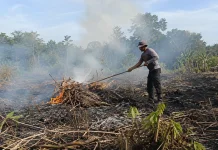 Warga Sabang Diminta Waspada Karhutla saat Buka Lahan
