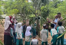 Dragon Park Jaboi Dikembangkan sebagai Sarana Edukasi Agrowisata
