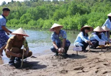 Lanud Maimun Saleh Tanam Mangrove, Jaga Kelestarian Pesisir Sabang