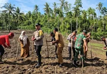 BUMDes Mandiri Bateshok Kembangkan Padi Gogo dan Jagung