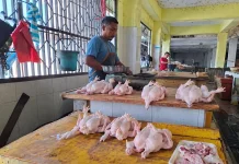 Harga Ayam Potong di Sabang Capai Rp70 Ribu