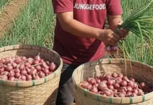 Bumbu Jungge Food Aceh Tembus Pasar Luar Daerah