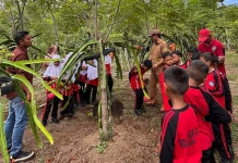 Kebun Buah Naga Jadi Ruang Belajar Siswa Sekolah Dasar di Sabang
