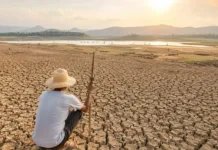 El Nino Bukan Badai, Ini Dampaknya bagi Kehidupan