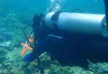 Ocean Diving Club Dorong Generasi Muda Peduli Ekosistem Laut