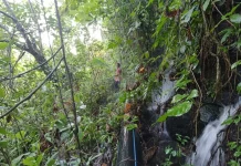 Kebocoran Pipa Transmisi di Sabang, Sejumlah Wilayah Terdampak