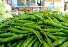 Harga Cabai di Sabang Tembus Rp70 Ribu per Kilogram