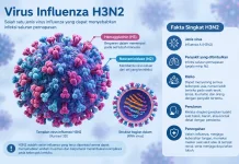 Belum Ada Kasus H3N2, IDI Sabang Imbau Warga Tetap Waspada