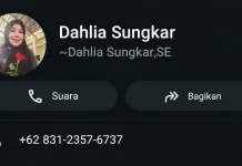 Waspada, Nomor WhatsApp Palsu Mengatasnamakan Kepala BNN Sabang