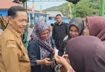 Wakil Wali Kota Sabang Pantau Aktivasi IKD di Paya Seunara