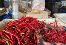 Harga Cabai di Sabang Tembus Rp90 Ribu per Kilogram