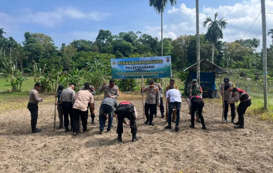 Dukung Ketahanan Pangan, Polres Sabang Tanam Jagung