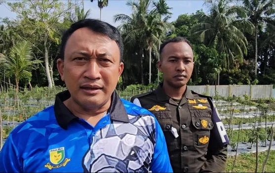 Ketahanan Pangan Subdenpom Sabang Tunjukkan Hasil Positif