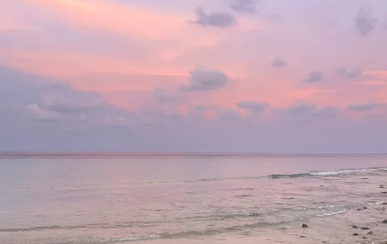 Kolaborasi Lintas Sektor Dinilai Kunci Menjaga Kelestarian Laut Aceh