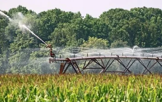 Teknologi Dinilai Perkuat Adaptasi Petani Hadapi Krisis Iklim