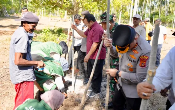 Wali Kota Sabang Dorong Pengembangan Padi Gogo di Lahan Kosong