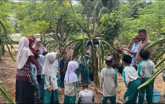 Dragon Park Jaboi Dikembangkan sebagai Sarana Edukasi Agrowisata