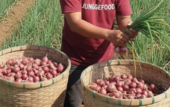 Bumbu Jungge Food Aceh Tembus Pasar Luar Daerah