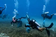Pemuda Sabang Bersih-bersih Alam Bawah Laut Pulau Rubiah