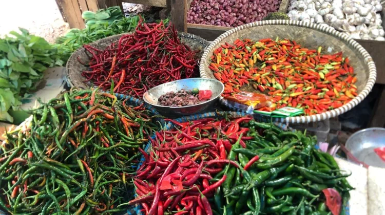 Harga Cabai Tiung di Senaken Melonjak jelang Puasa