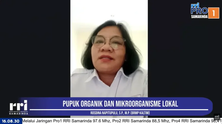 Pupuk Organik dan MOL, Solusi Atasi Tanah Keras Petani Kaltim