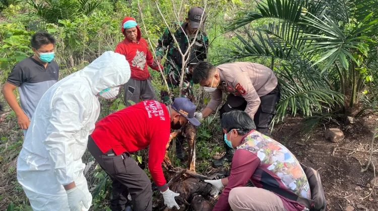 Tak Pulang 3 Bulan, Pria Paruh Baya Ditemukan Meninggal di Kebun Desa Long Gelang