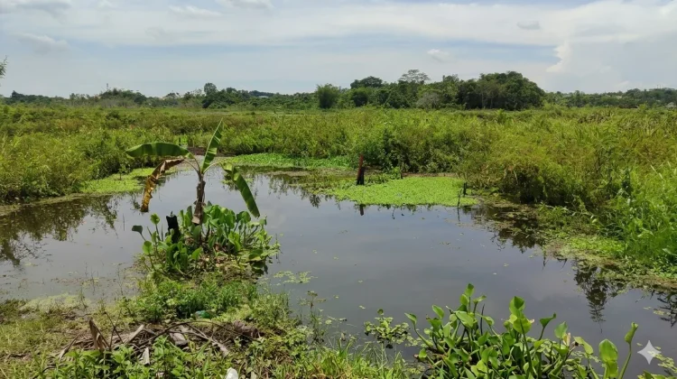 Komisi III DPRD Samarinda Pastikan Saluran SLI Terhubung ke Sungai