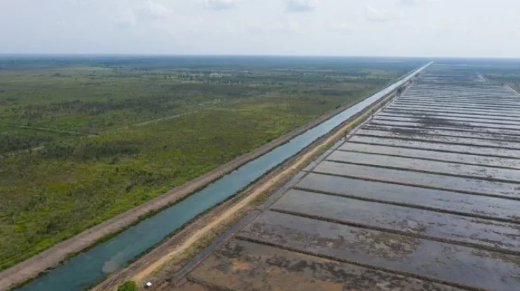 Kaltim Kejar Realisasi 1.320 Hektare Program Cetak Sawah Hingga Maret 2026