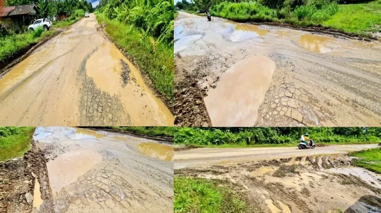 Legislator DPR RI Soroti Jalan Nasional Rusak di Kaltim