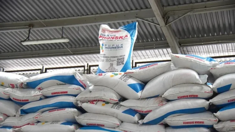 Targetkan Efisiensi, Pemerintah Sempurnakan Tata Kelola Pupuk Subsidi