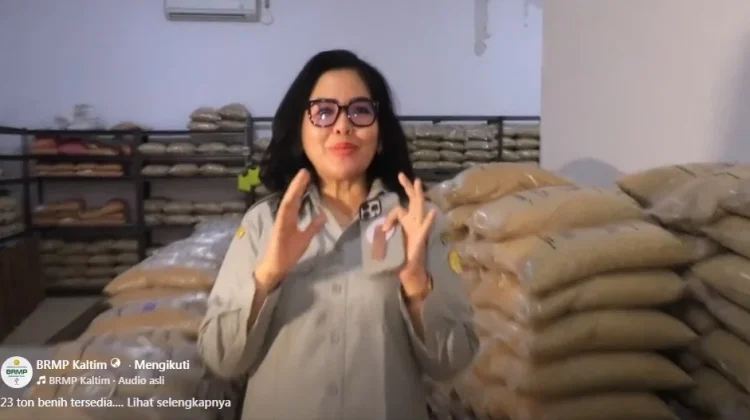 Stok 23 Ton Benih Padi Dukung Swasembada Pangan