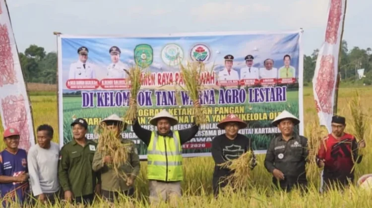 Bupati Kukar Panen Raya di Mulawarman