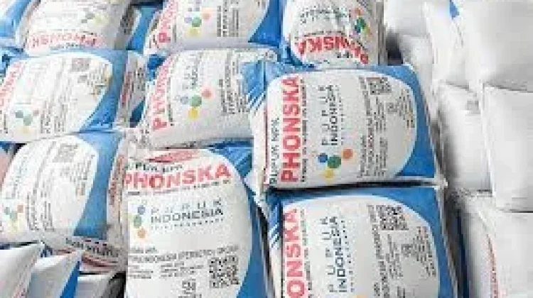 DPRD Berau Dorong Pupuk Lokal Jadi Solusi Pertanian Sekaligus Peluang Ekonomi