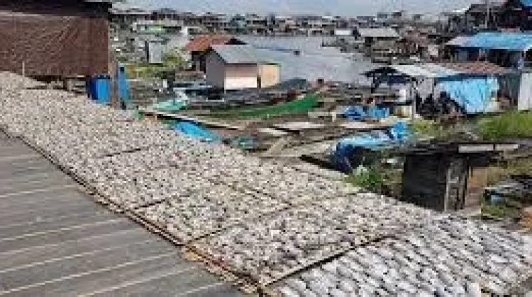 Perubahan Iklim Perburuk Kondisi Tambak dan Ekonomi Pesisir