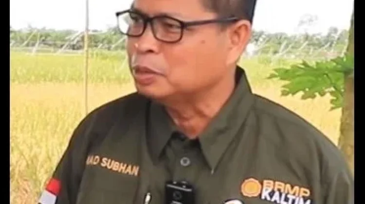 BRMP Kalimantan Timur Perkuat Ketersediaan Benih Bersertifikat