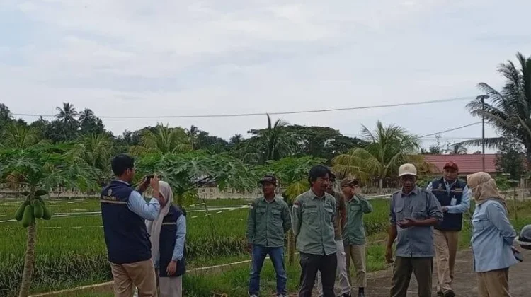 OIKN Gandeng KP Samboja Perkuat Ketahanan Pangan Melalui Benih Unggul