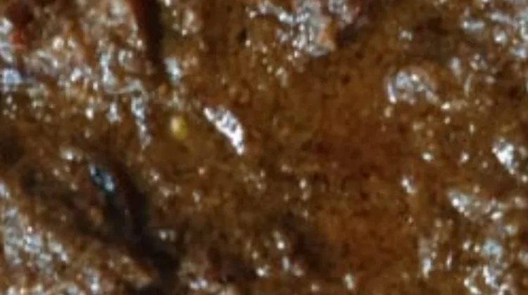 Resep Bistik Daging Sapi Khas Solo Ala Rumahan