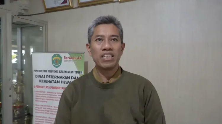Cuaca Panas Ancam Ternak, DPKH Kaltim Siaga