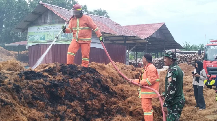 Kebakaran Limbah Sabut Kelapa di Penajam Berhasil Dipadamkan Tim Gabungan