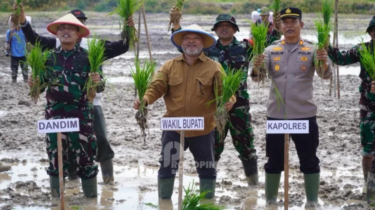 Tanam Padi Serentak Berau Dorong Swasembada dan Regenerasi Petani