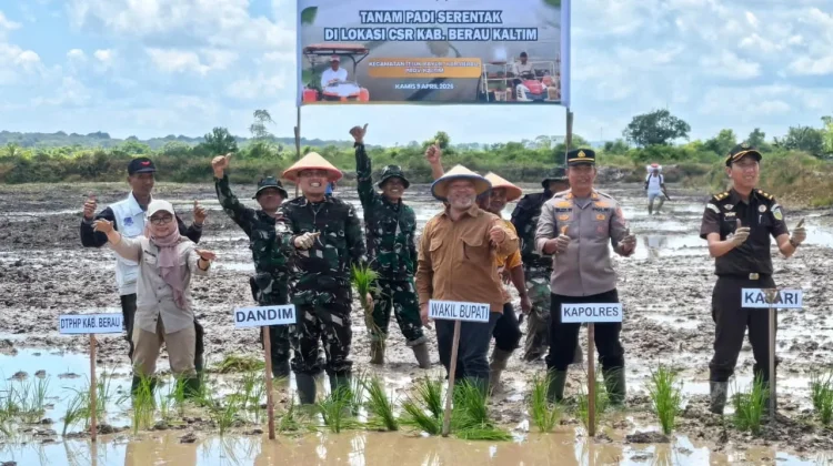 Berau Genjot Cetak Sawah, Krisis Petani Jadi Tantangan