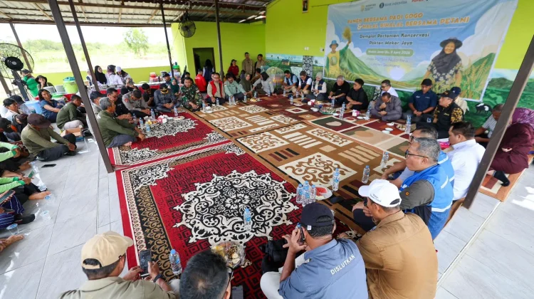 IKN Kembangkan Pertanian Regeneratif lewat Panen Padi Gogo