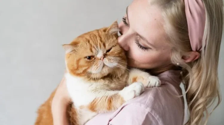 Unik, di Kanada Peluk Kucing 4 Jam di Gaji 162 Juta